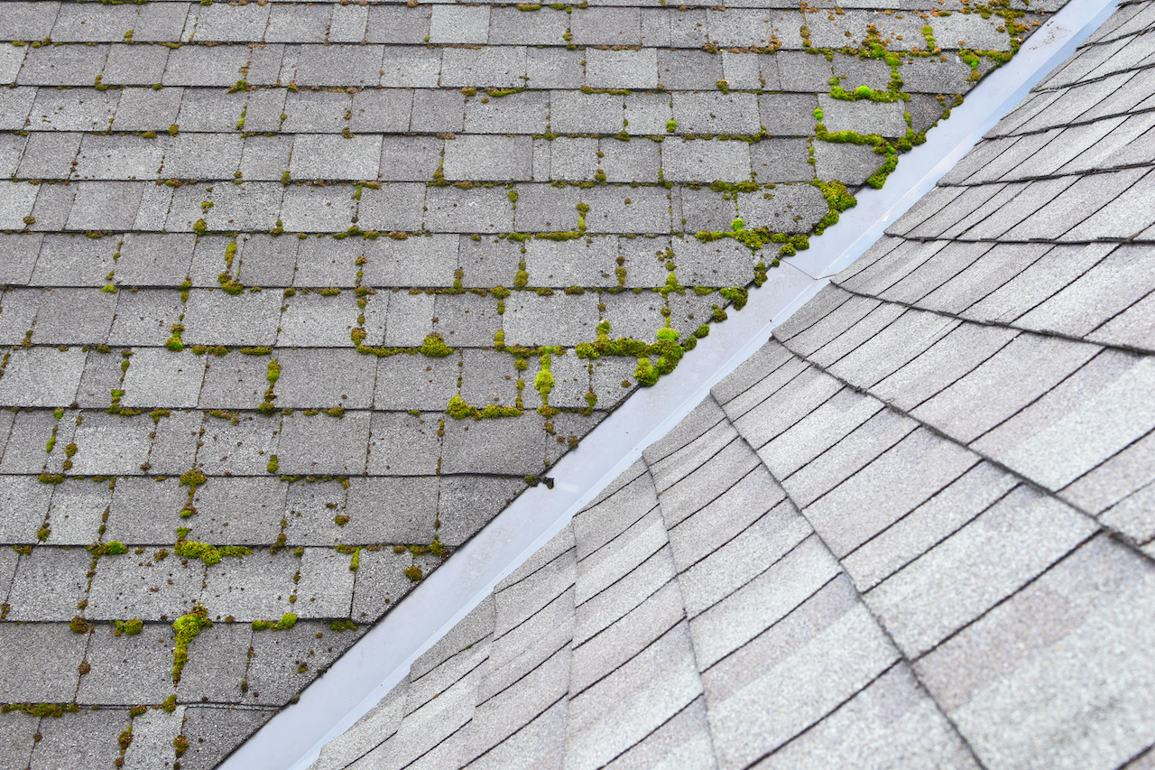 Cocoa roof cleaning near me