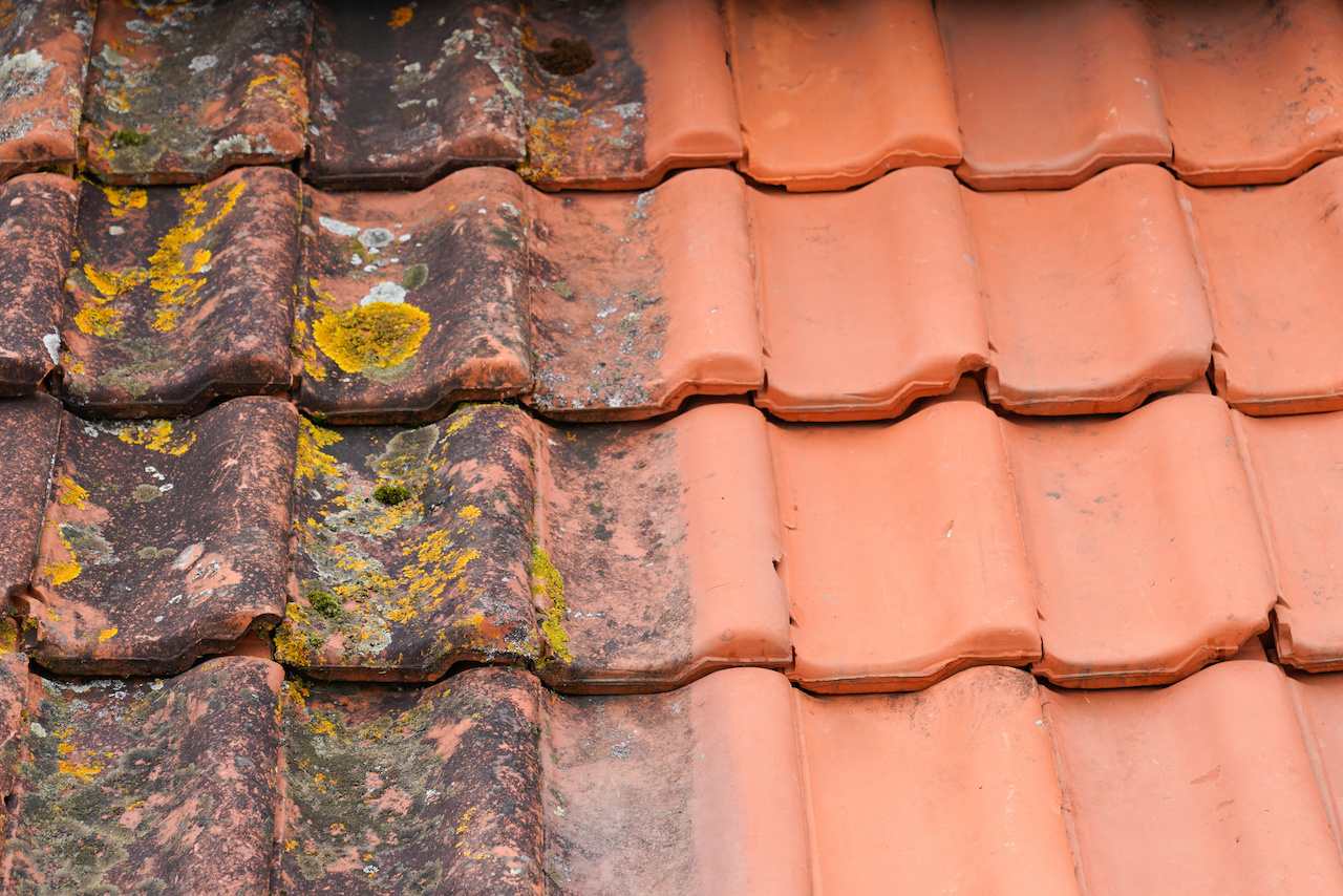 roof washing Cocoa FL